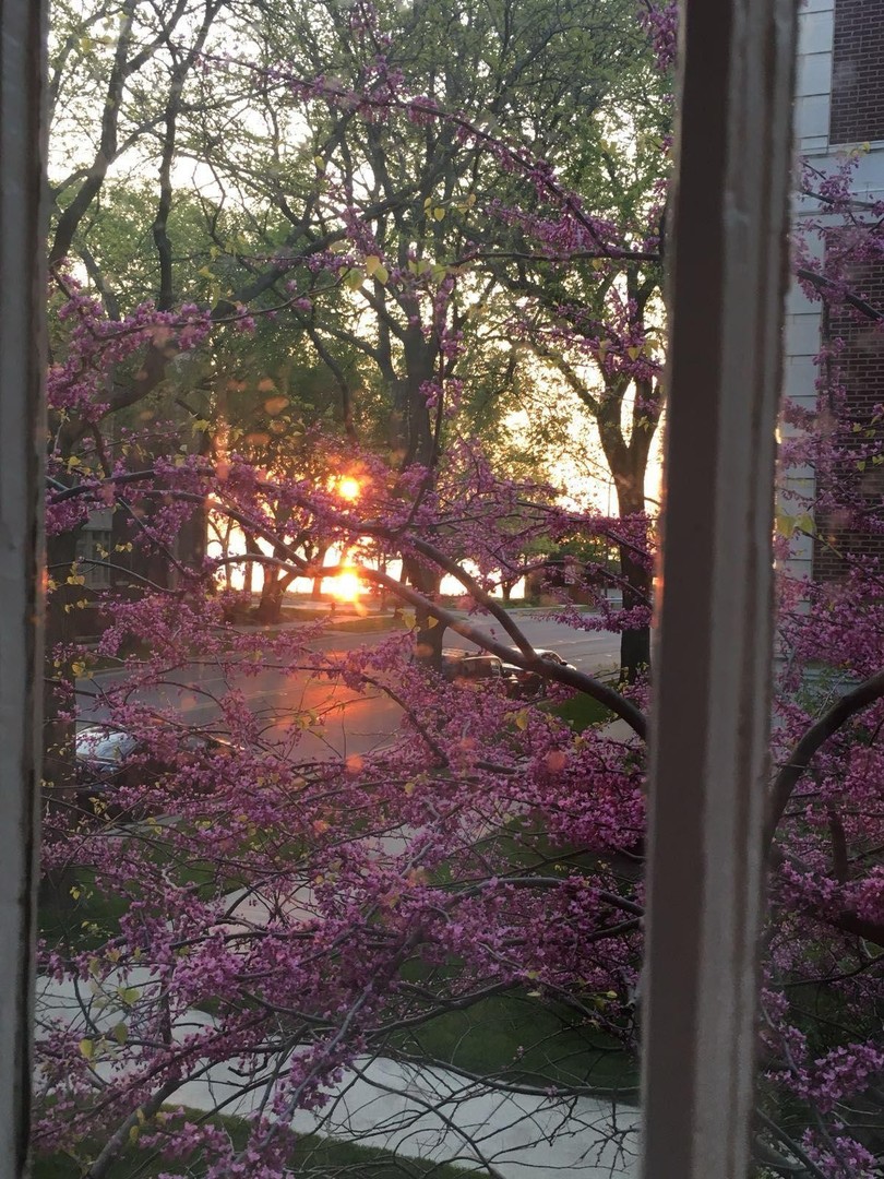 496 Sheridan Road, Unit 1 Evanston, IL 60202 - Photo 30 of 33