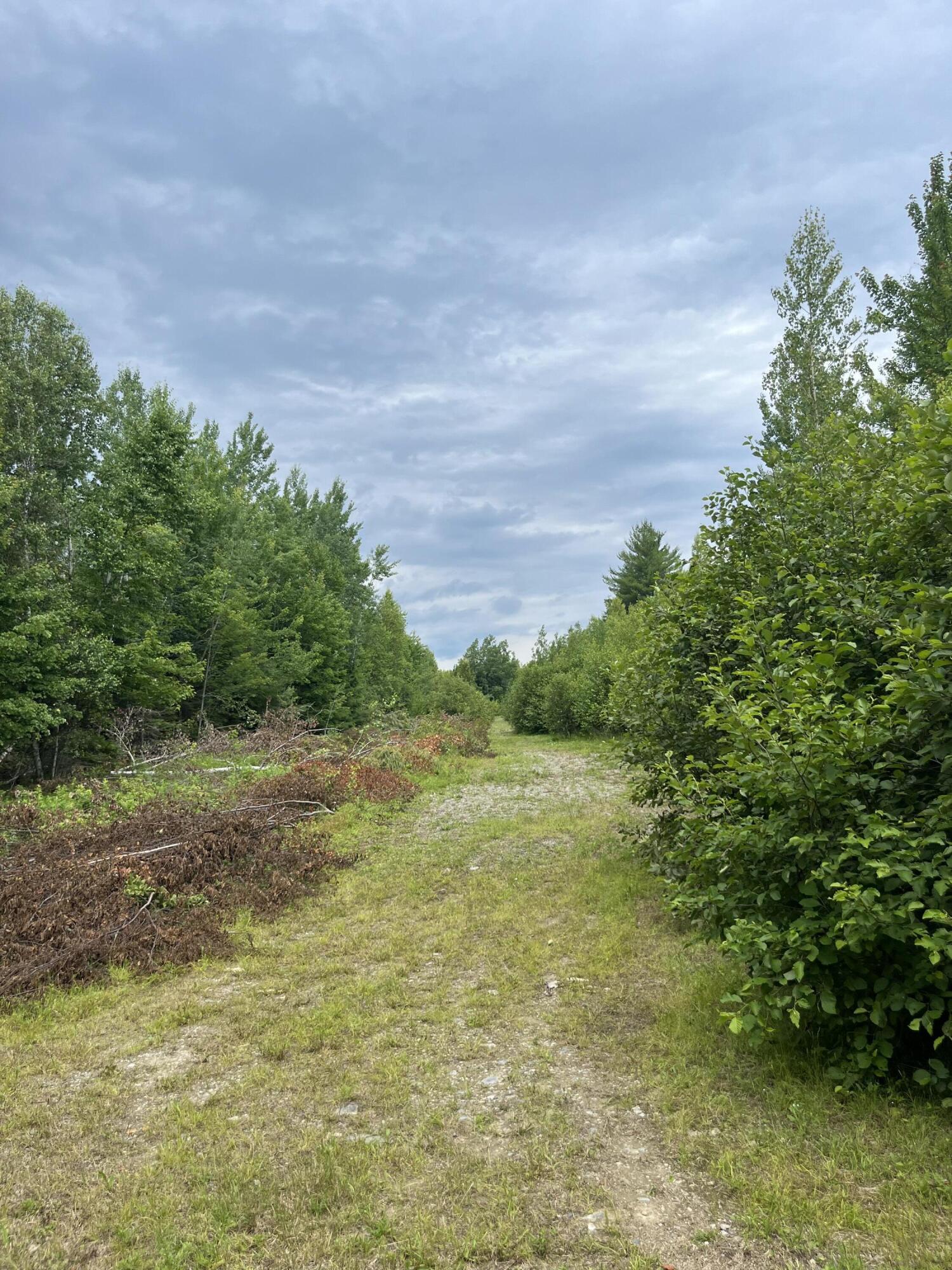 Lot 3 Cobblestone Ridge Milford, ME 04461 - Photo 3 of 20 IMG_3218
