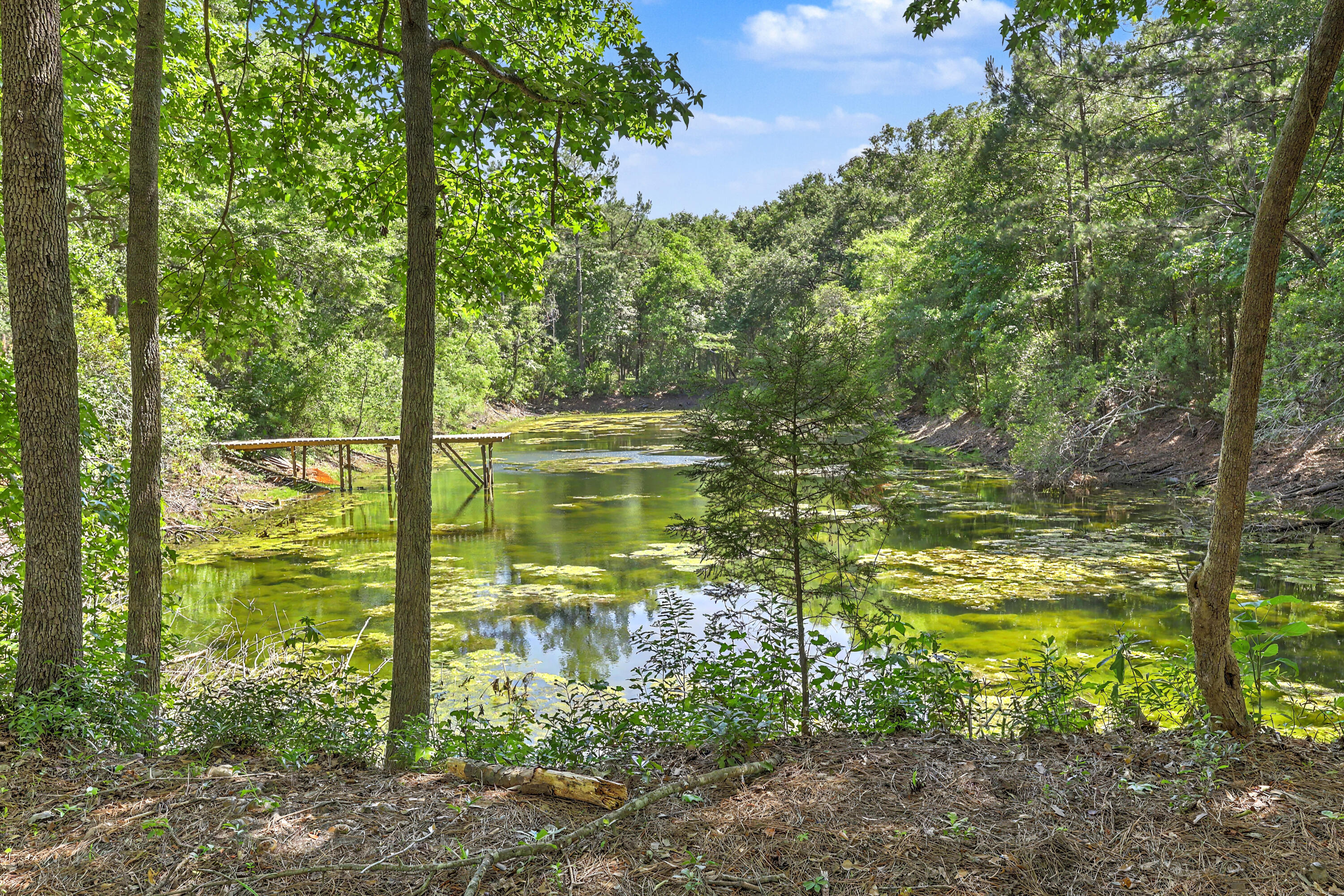 5709 Old Jacksonboro Road Ravenel, SC 29470 - Photo 30 of 34 Pond View