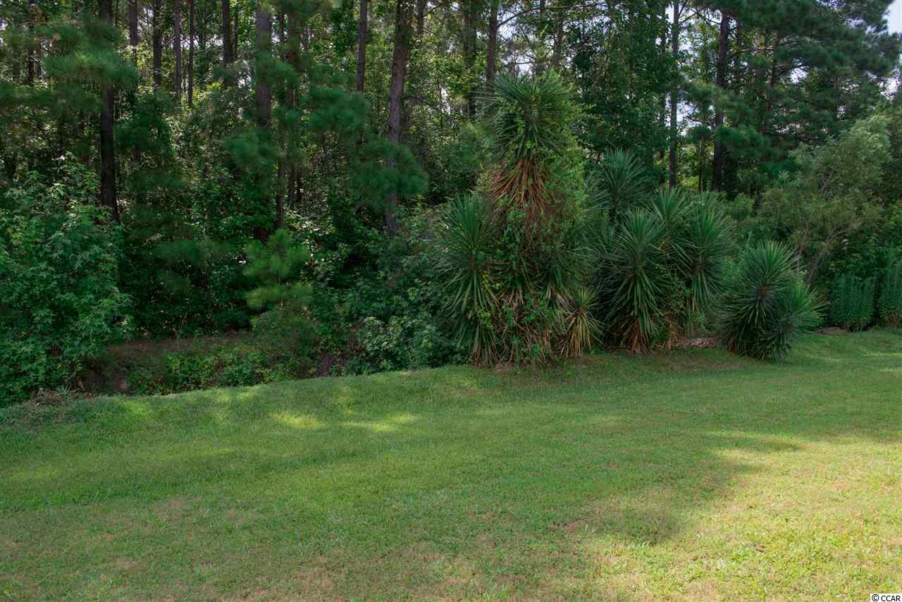 203 Marbella Drive Murrells Inlet, SC 29576 - Photo 18 of 25 Gallery Image 18