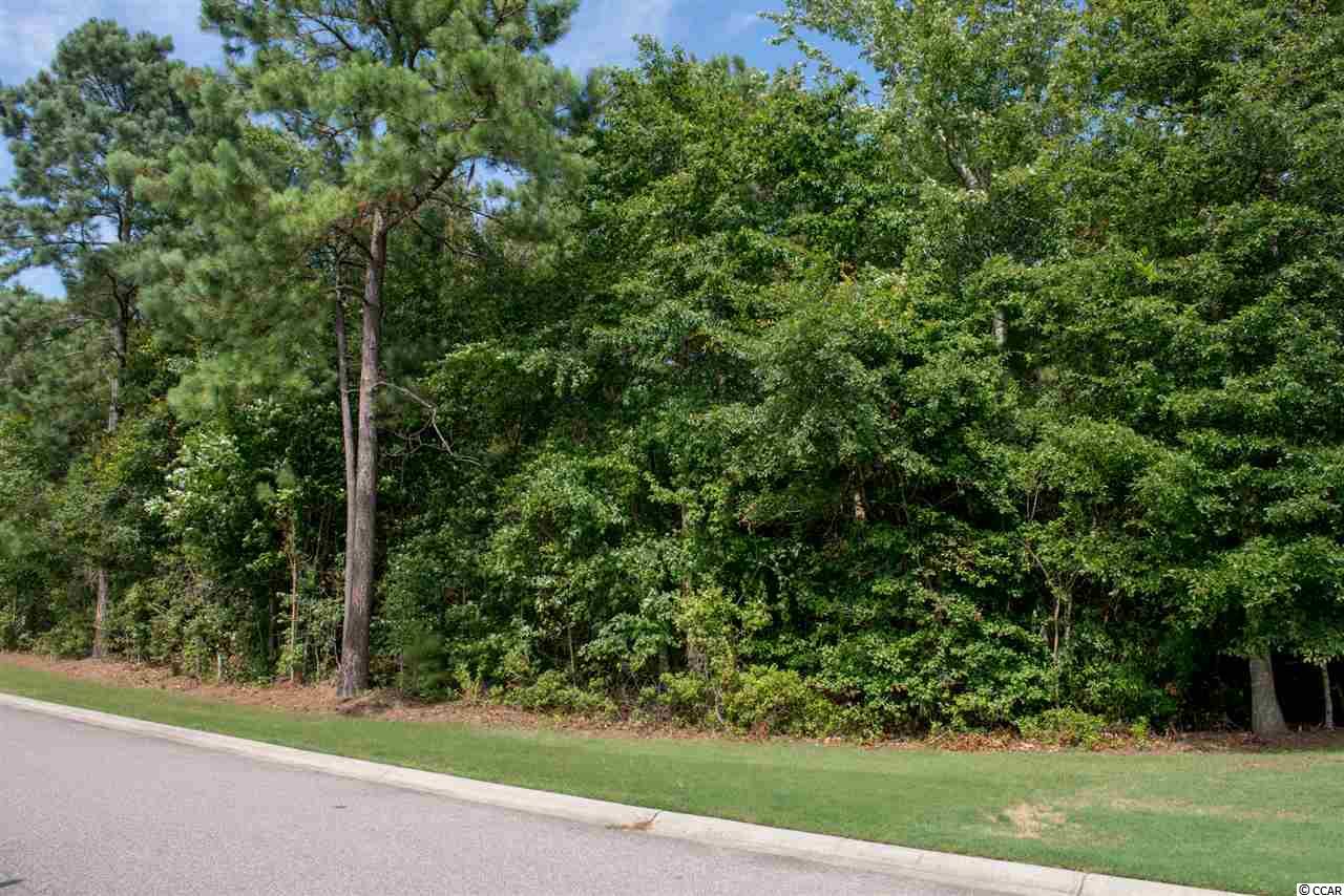203 Marbella Drive Murrells Inlet, SC 29576 - Photo 19 of 25 Gallery Image 19