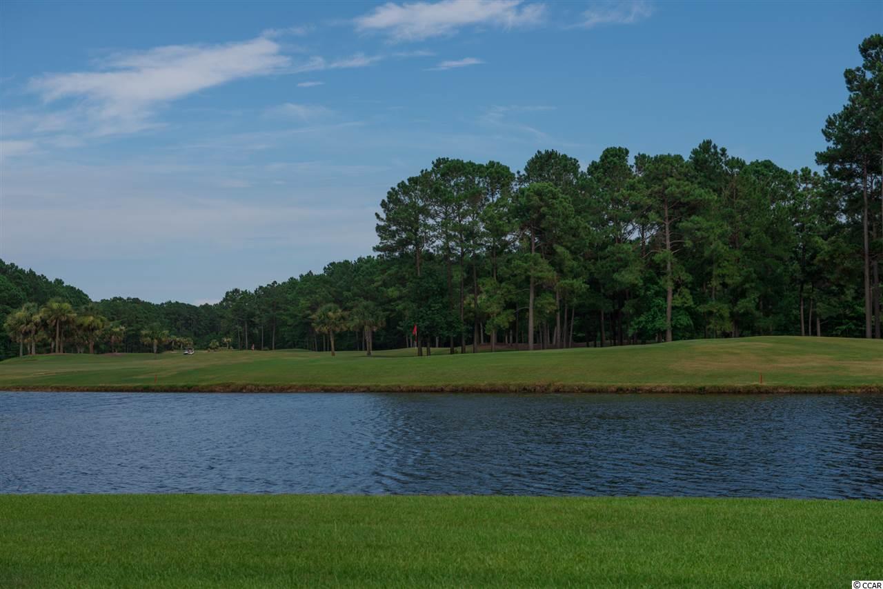 203 Marbella Drive Murrells Inlet, SC 29576 - Photo 24 of 25 Gallery Image 24