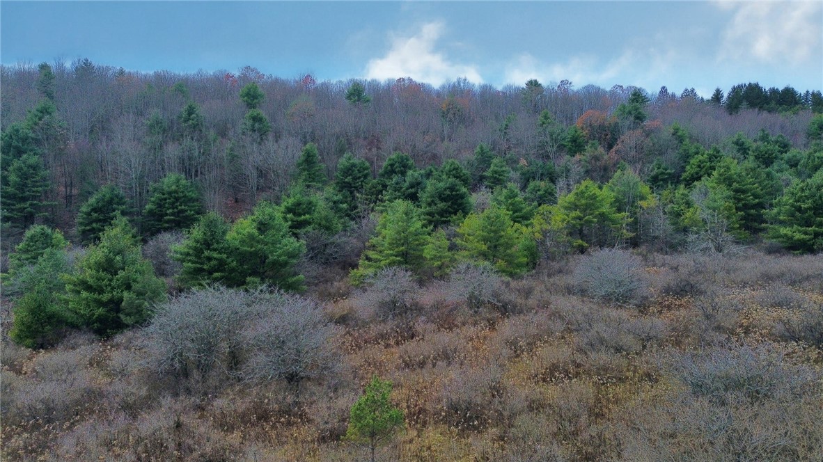 296 Hugg Road Baldwin, NY 14861 - Photo 3 of 6