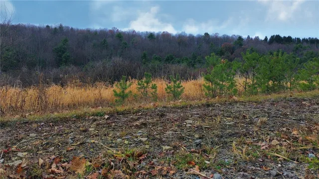 $449,000 | 296 Hugg Road, Baldwin, NY 14861