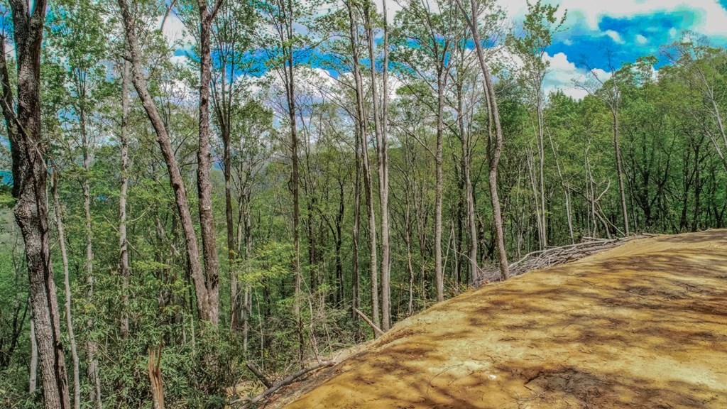 2 Rocky Ridge Road Cosby, TN 37722 - Photo 17 of 28 Gallery Image 17