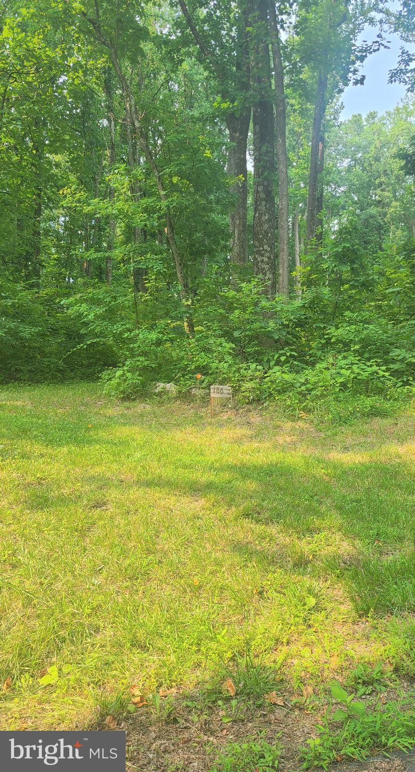 186 Highridge Road Front Royal, VA 22630 - Photo 59 of 59