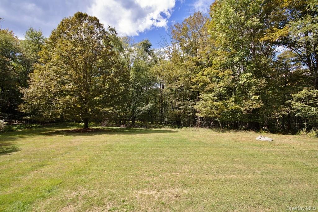 151 Airport Road Bethel, NY 12762 - Photo 6 of 19 a view of a lake view