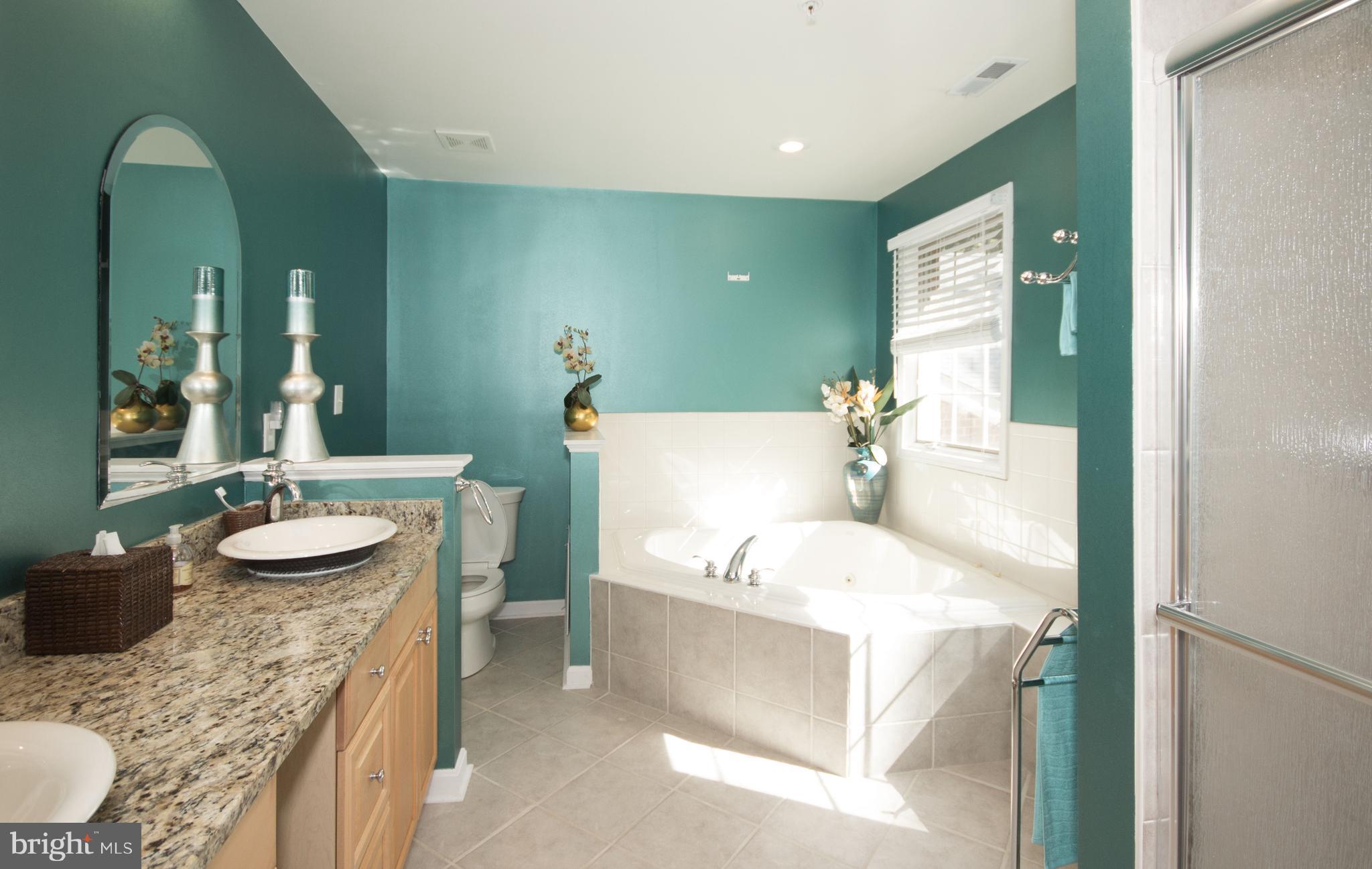 9020 Race Track Road Bowie, MD 20715 - Photo 19 of 52 Master Bath w/Jacuzzi Tub