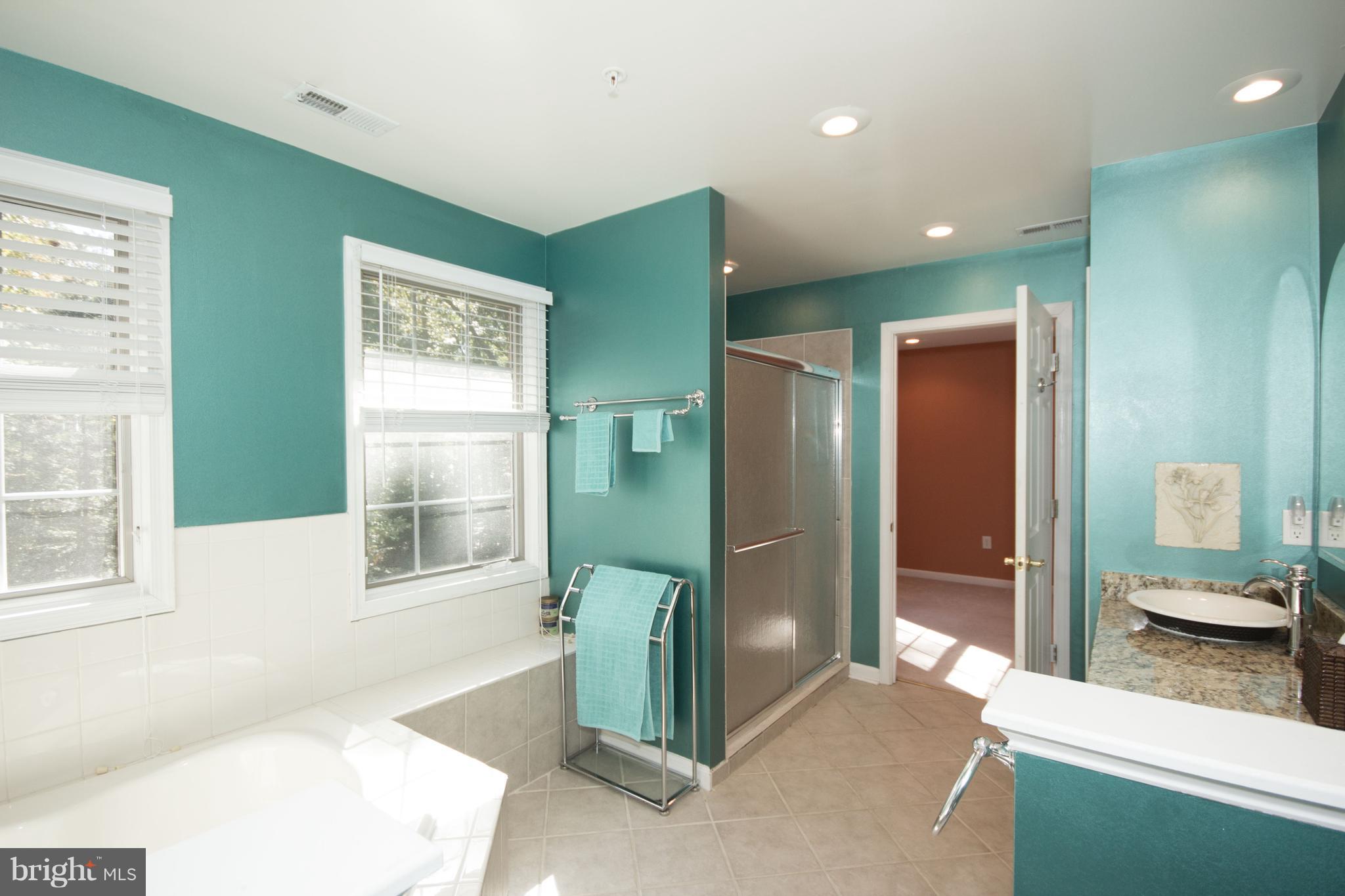 9020 Race Track Road Bowie, MD 20715 - Photo 21 of 52 Master Bath