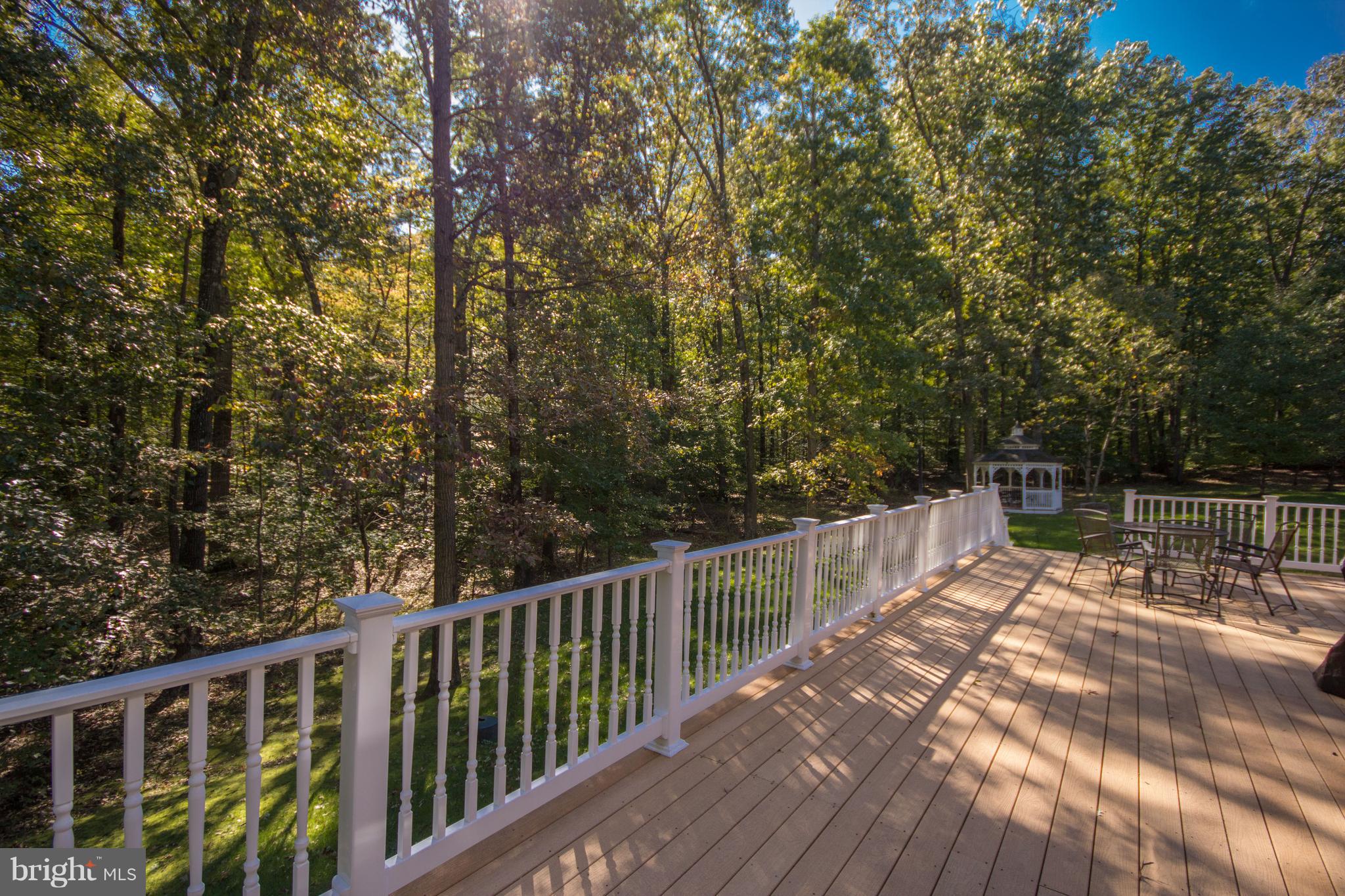 9020 Race Track Road Bowie, MD 20715 - Photo 47 of 52 Maintenance Free Deck