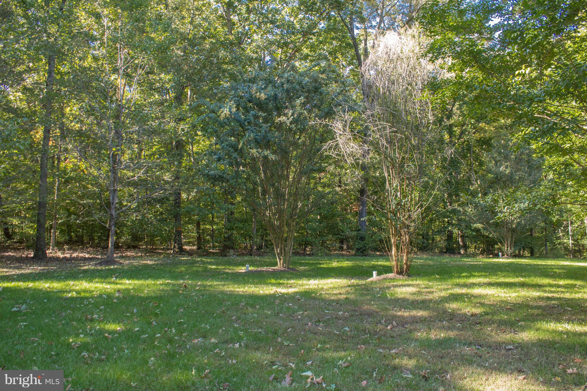 9020 Race Track Road Bowie, MD 20715 - Photo 52 of 52 Back Yard