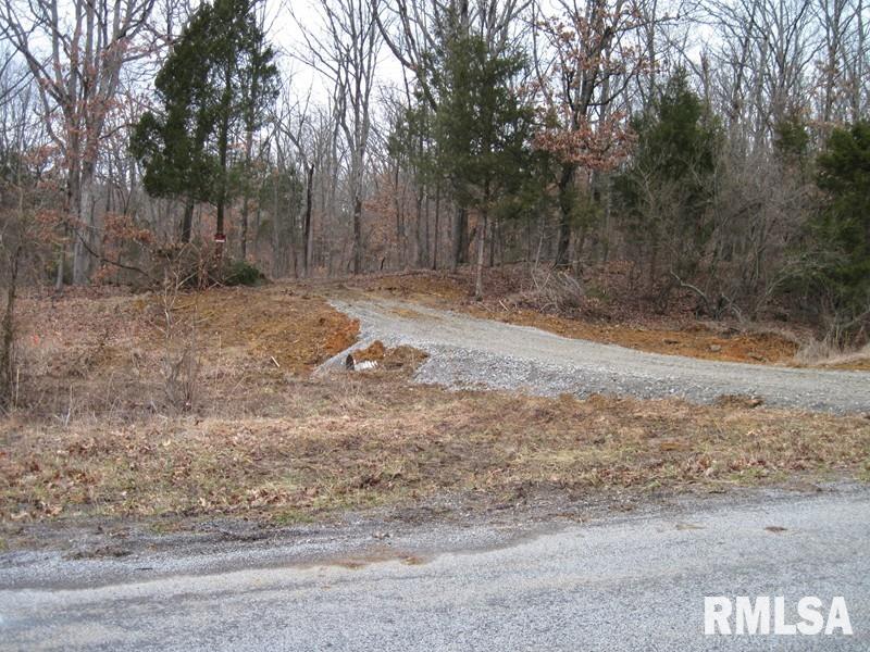 225 Hazel Road Simpson, IL 62985 - Photo 1 of 9 Gallery Image 1