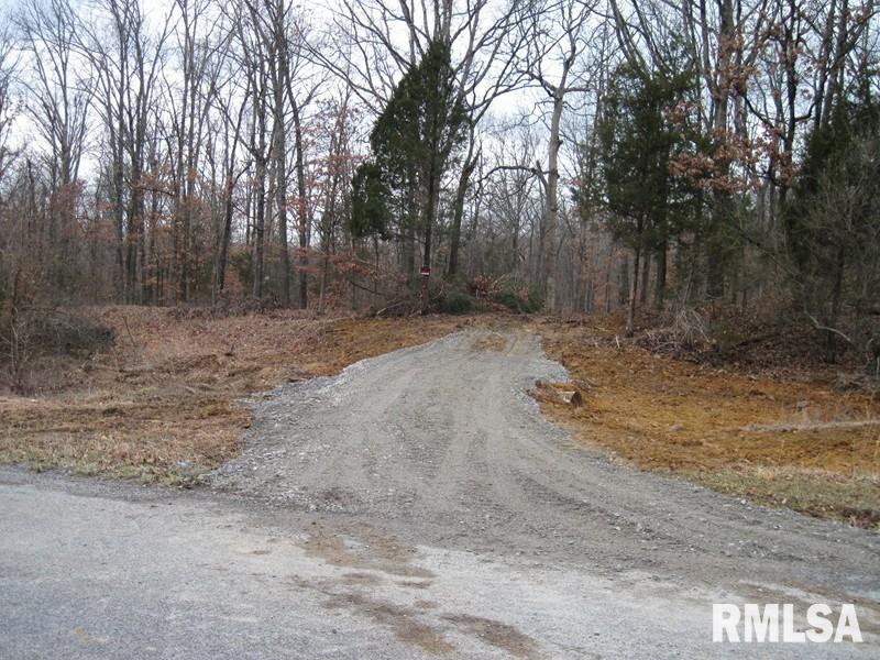 225 Hazel Road Simpson, IL 62985 - Photo 2 of 9 Gallery Image 2