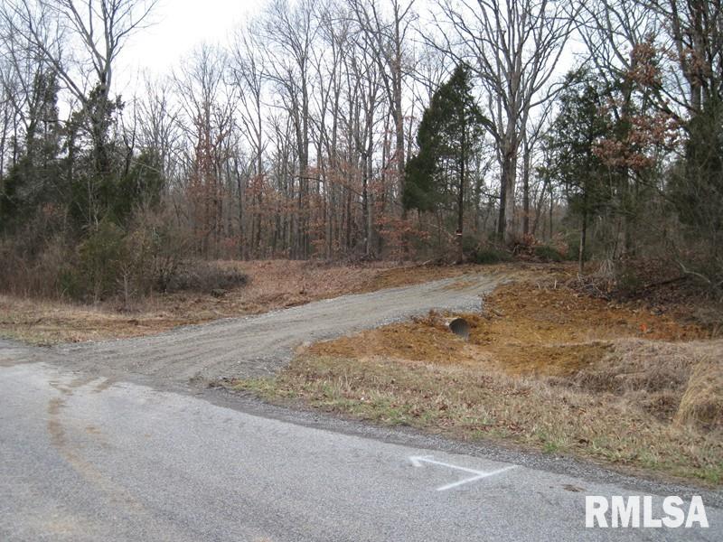 225 Hazel Road Simpson, IL 62985 - Photo 3 of 9 Gallery Image 3