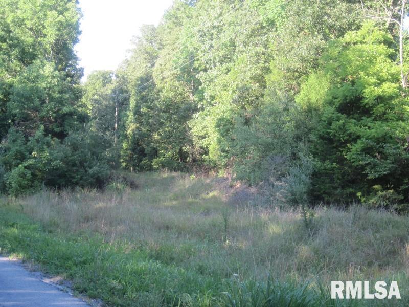225 Hazel Road Simpson, IL 62985 - Photo 4 of 9 Gallery Image 4