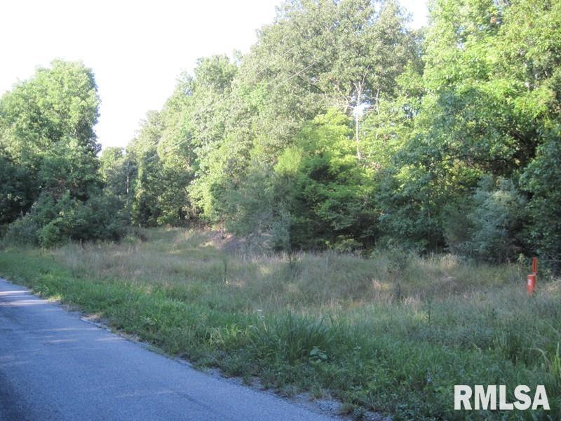 225 Hazel Road Simpson, IL 62985 - Photo 7 of 9 Gallery Image 7