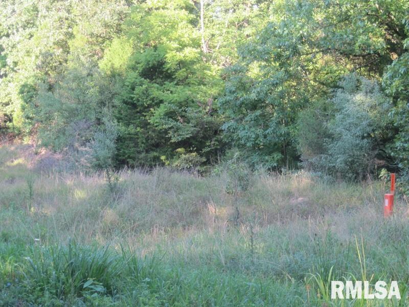 225 Hazel Road Simpson, IL 62985 - Photo 8 of 9 Gallery Image 8