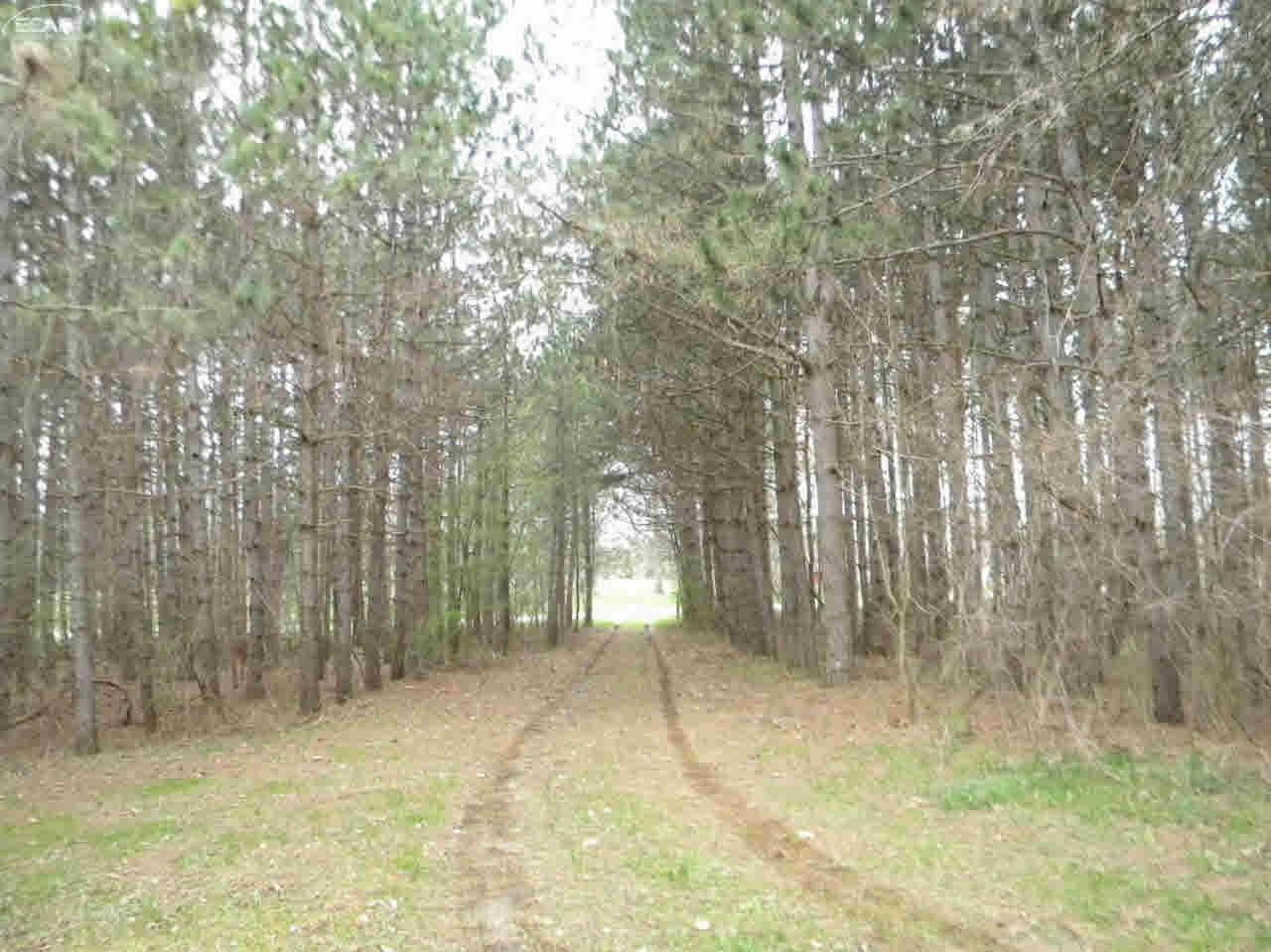 0 South State Corunna, MI 48817 - Photo 4 of 12