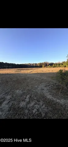 $92,500 | 8147 Swamp Fox Highway East, Tabor City, NC 28463