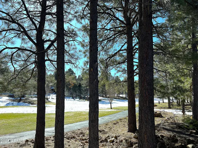 a view of lake from a yard