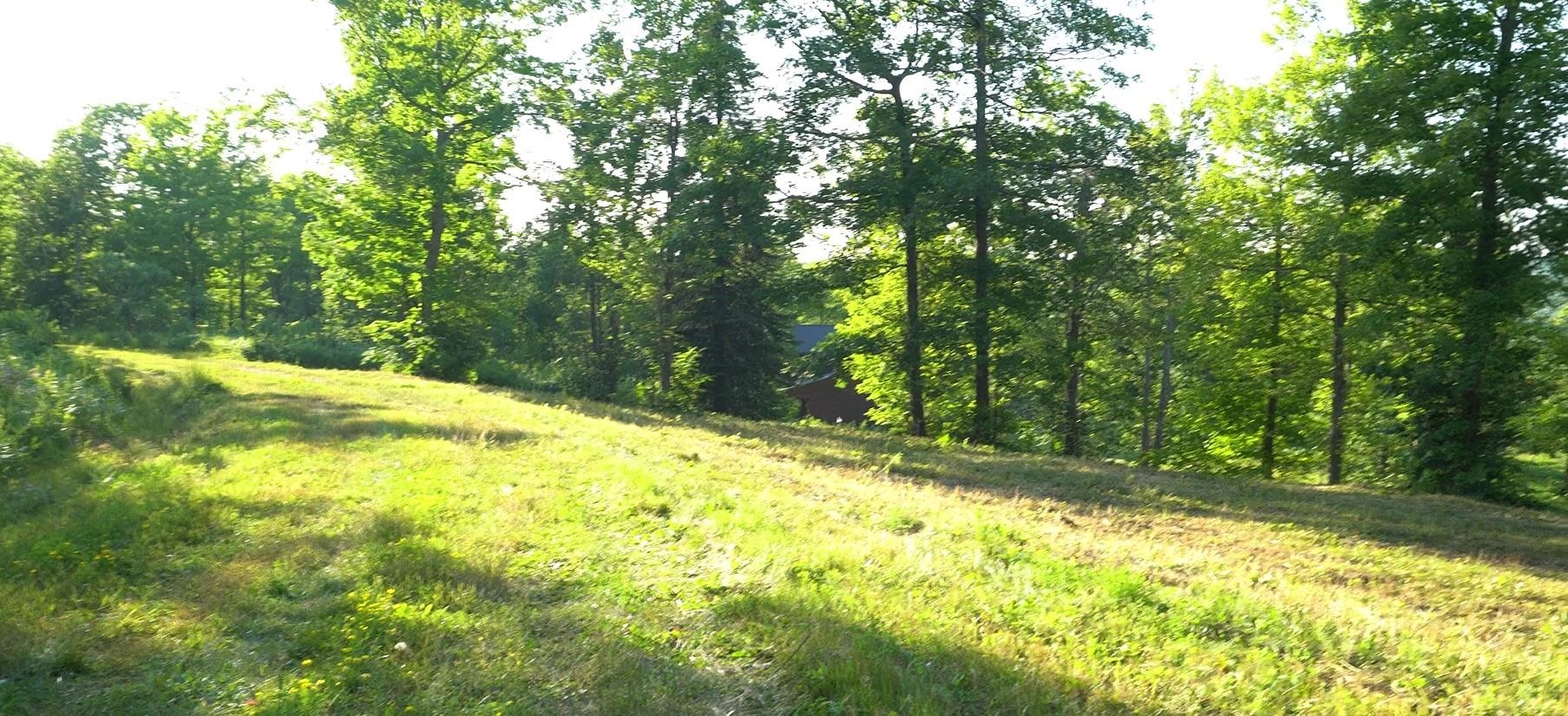 83-xxx Ashwabay Heights Road Bayfield, WI 54814 - Photo 1 of 5 View of wooded area