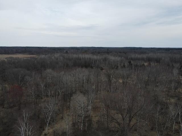 N6432 11th Court Harris, WI 53949 - Photo 28 of 30 DJI_0328