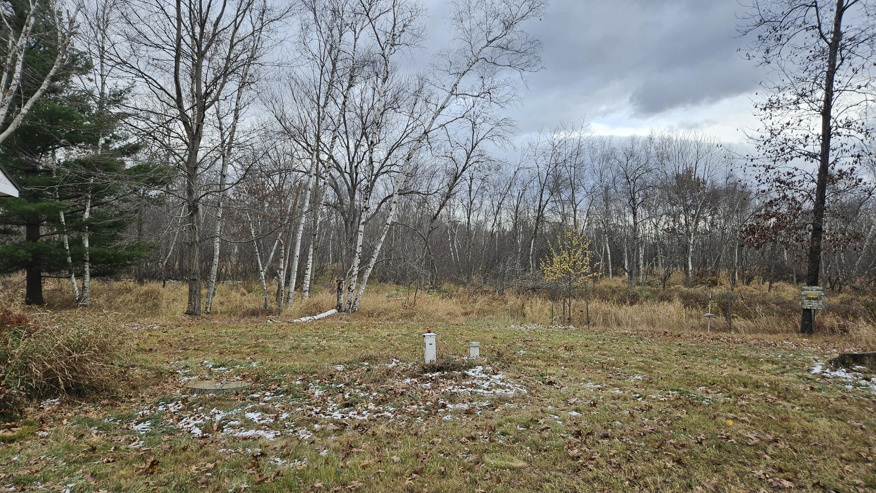 N6432 11th Court Harris, WI 53949 - Photo 9 of 30 1000017424