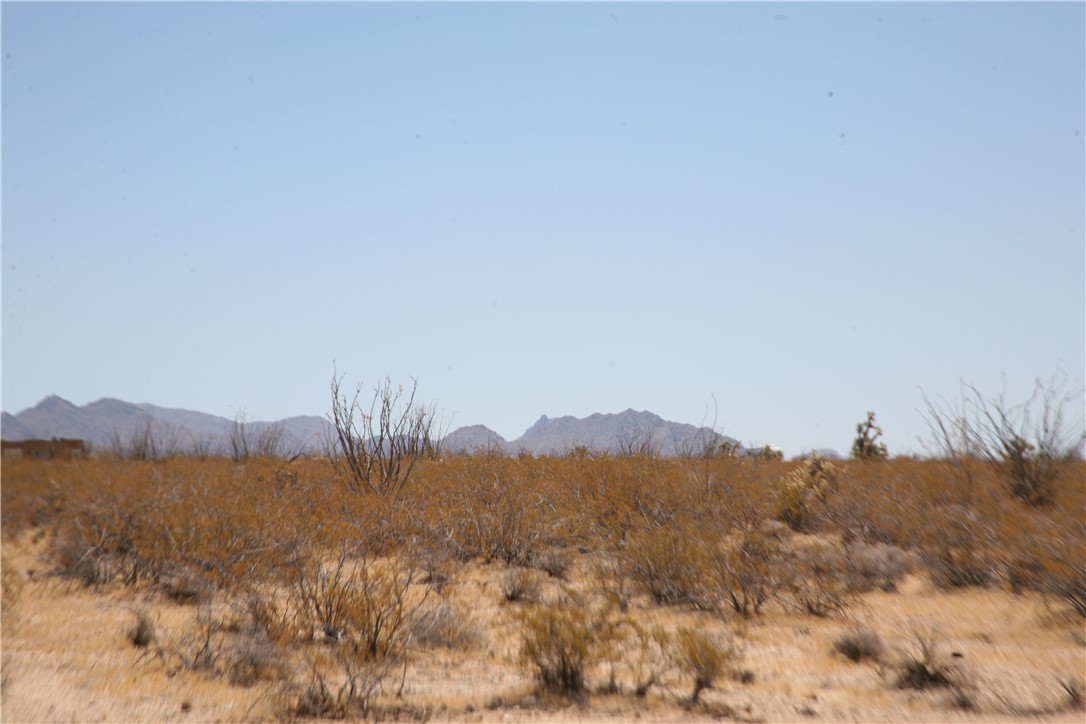 207-17-097 South Cameron Road Yucca, AZ 86438 - Photo 19 of 34