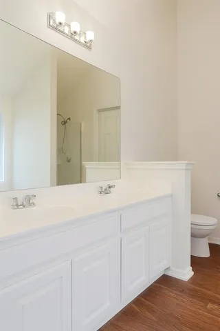 a bathroom with a sink a toilet and a mirror