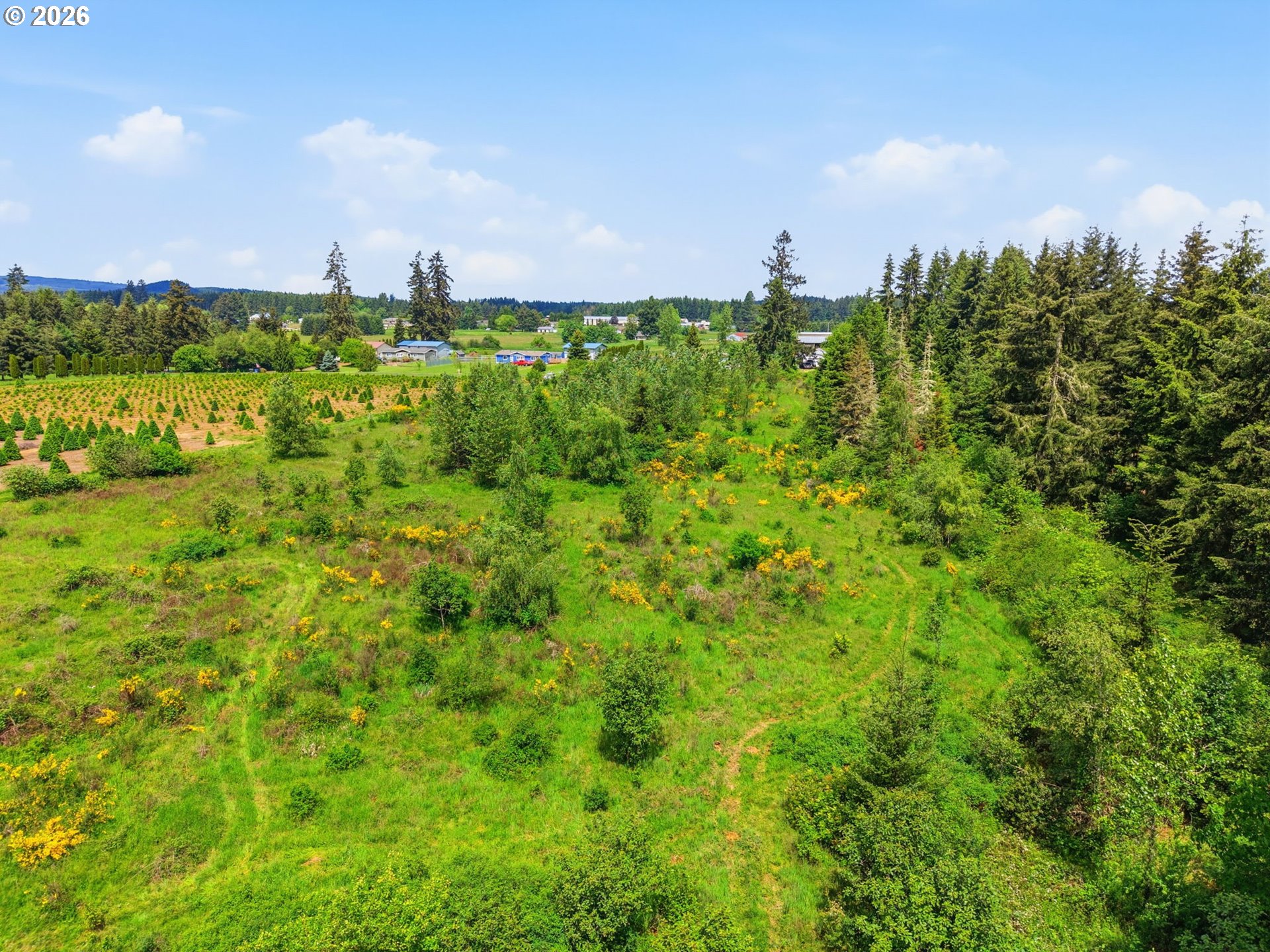 1 Shiloh Road Winlock, WA 98596 - Photo 8 of 12