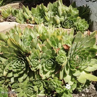 $260,000 | 8 Frederick Lane, Adams, MA 01220