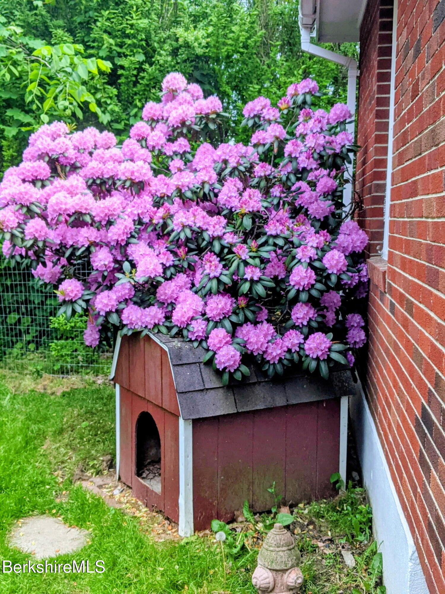 8 Frederick Lane Adams, MA 01220 - Photo 19 of 27 Landscaping