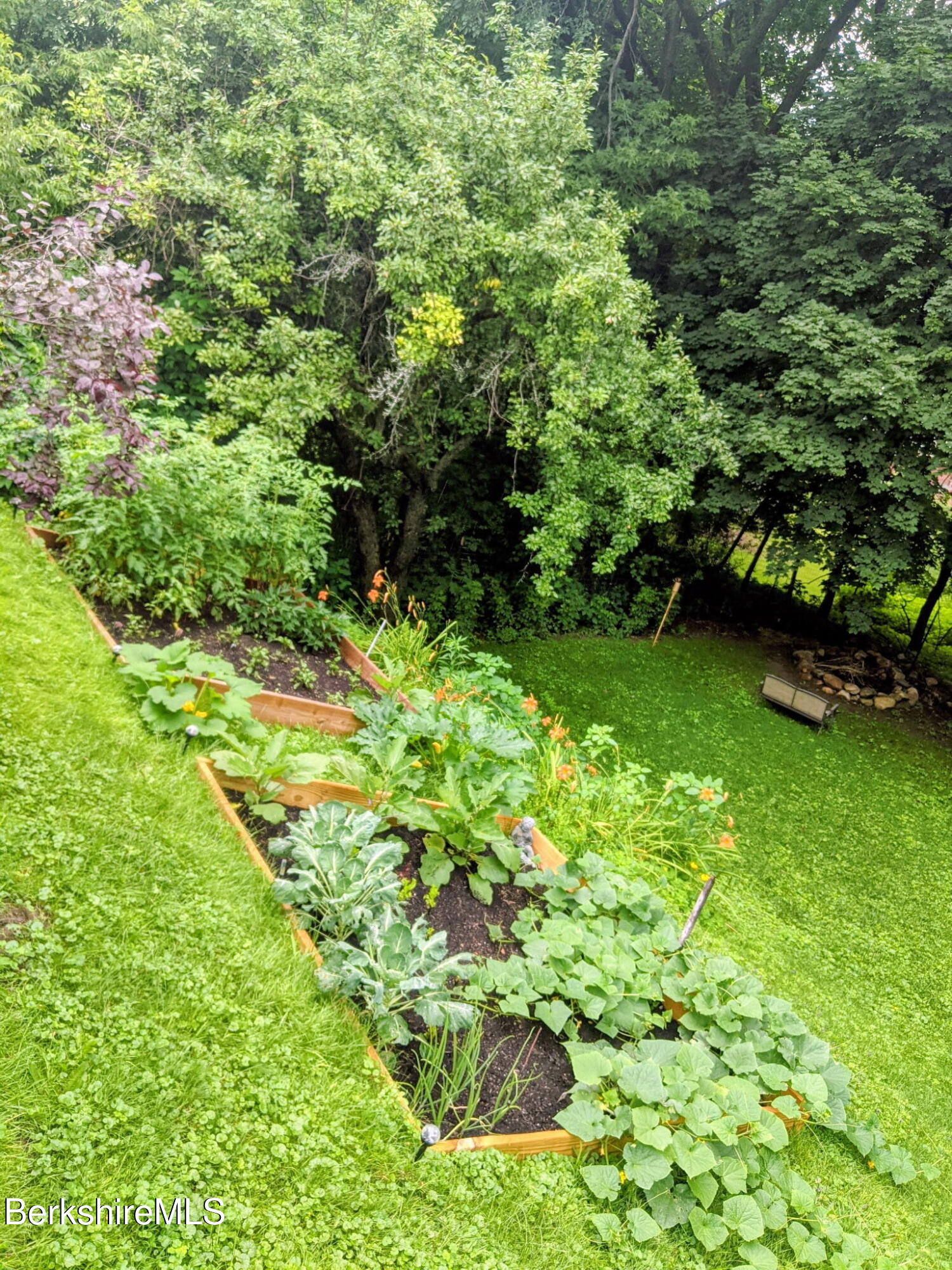 8 Frederick Lane Adams, MA 01220 - Photo 21 of 27 Fruit trees