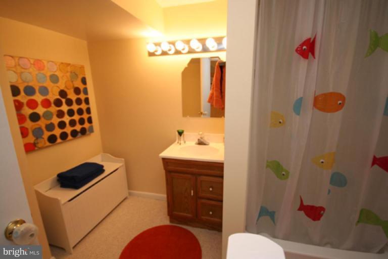 9106 Bradford Road Silver Spring, MD 20901 - Photo 14 of 18 a bathroom with a sink toilet and shower