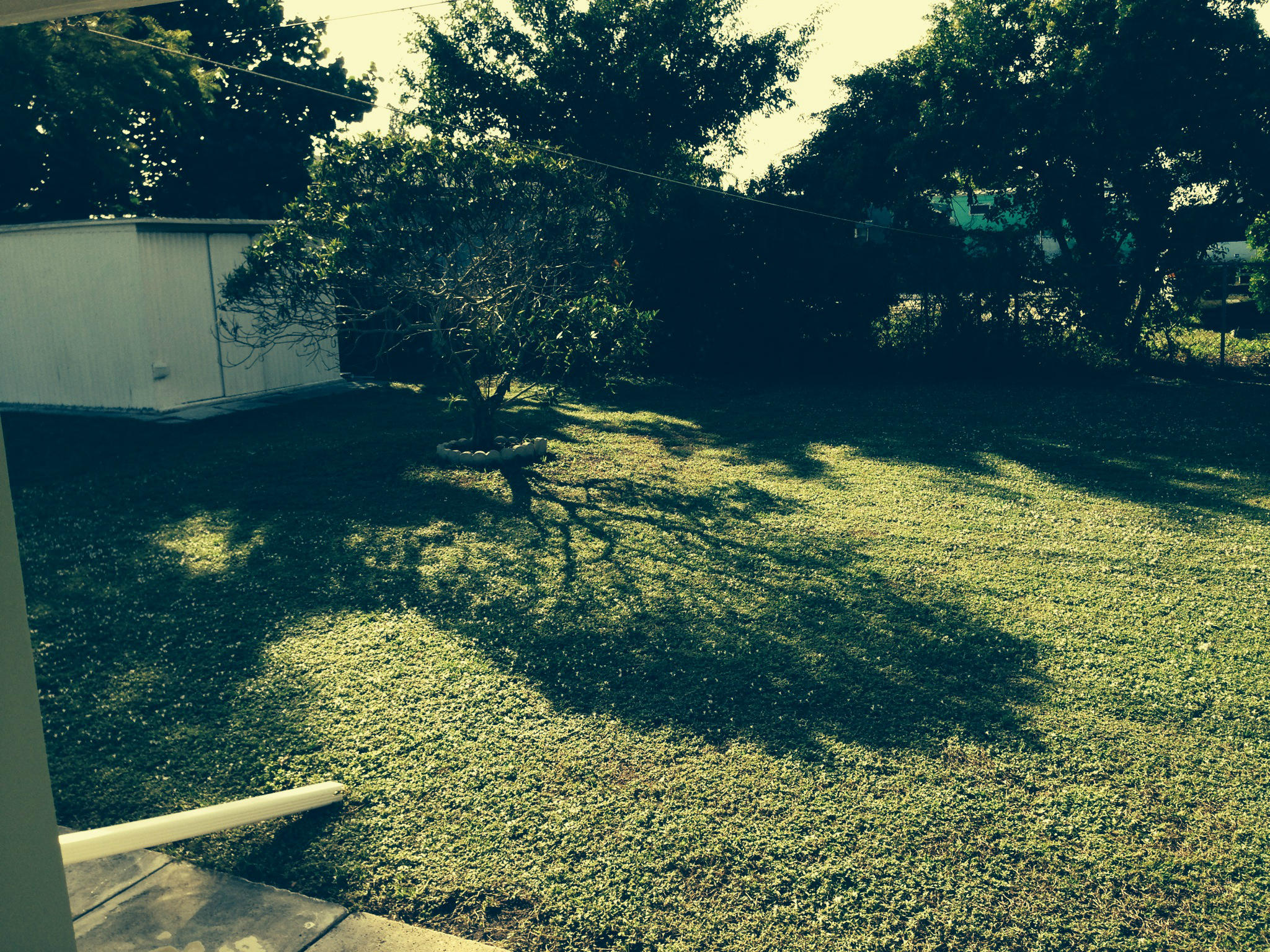 3793 Engle Road Lake Worth, FL 33461 - Photo 3 of 7 Back Yard
