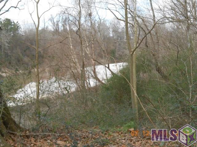 22595 Tucker Road Zachary, LA 70791 - Photo 6 of 7 Gallery Image 6