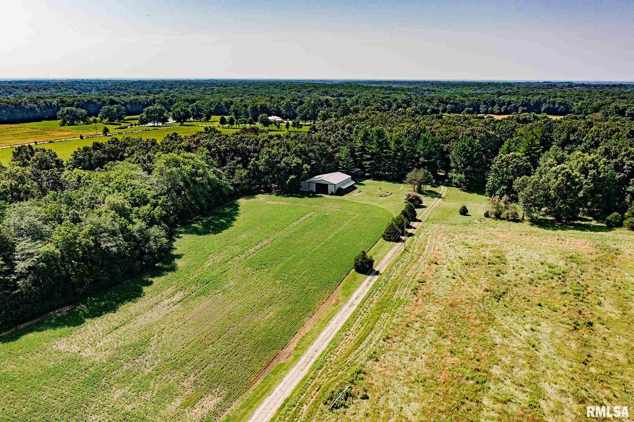 7762 Wilson Road Kinmundy, IL 62854 - Photo 18 of 50