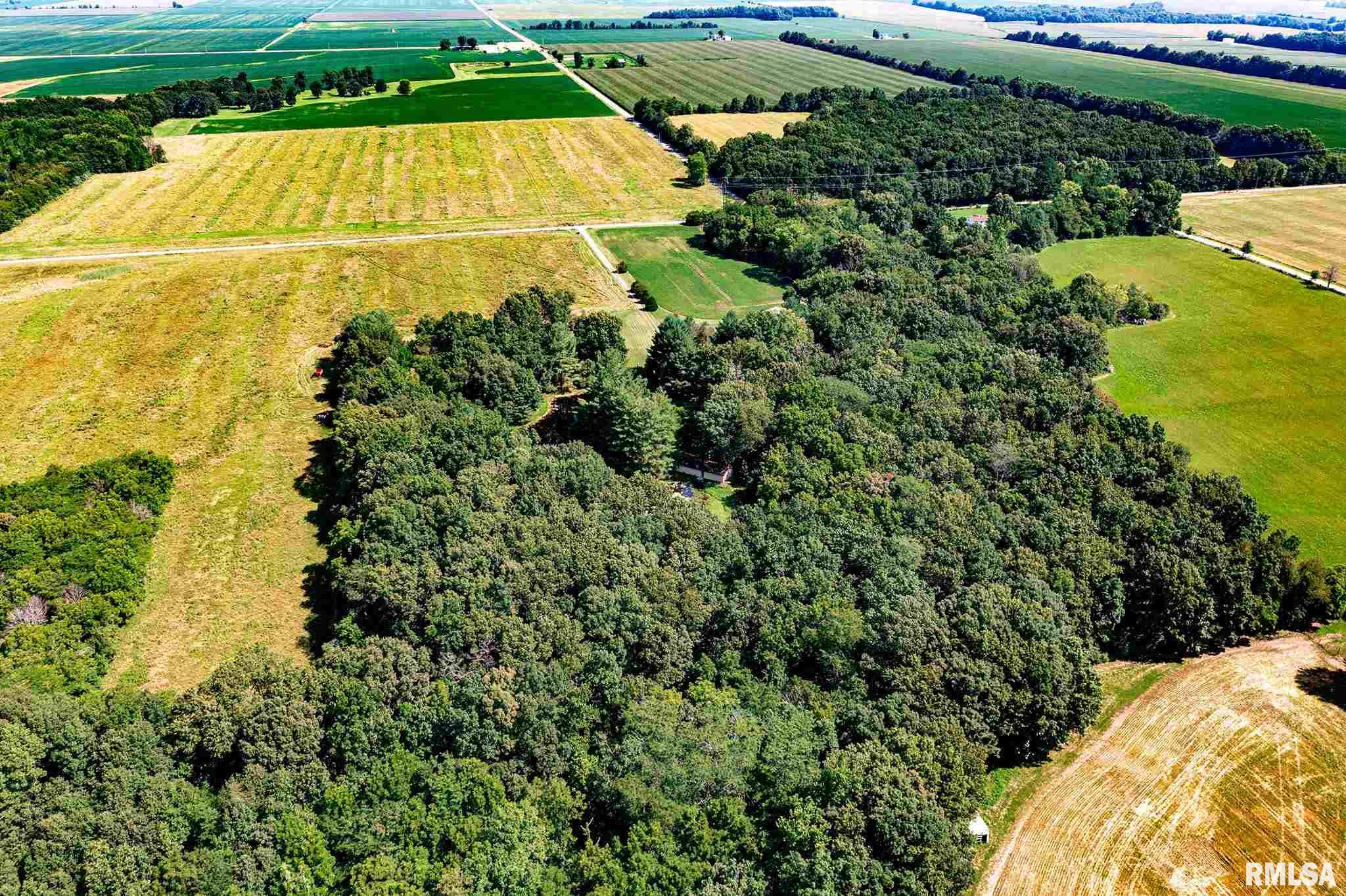 7762 Wilson Road Kinmundy, IL 62854 - Photo 20 of 50