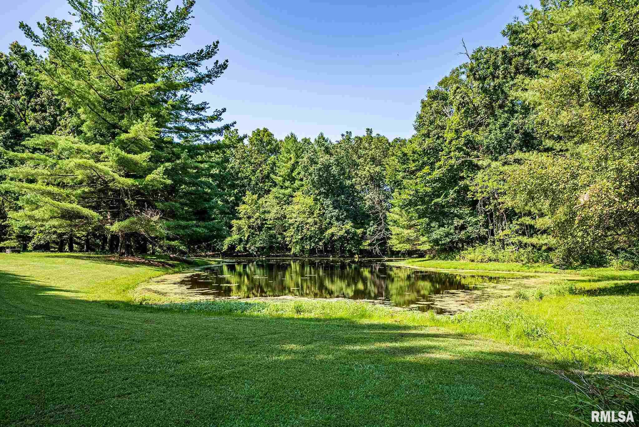 7762 Wilson Road Kinmundy, IL 62854 - Photo 48 of 50