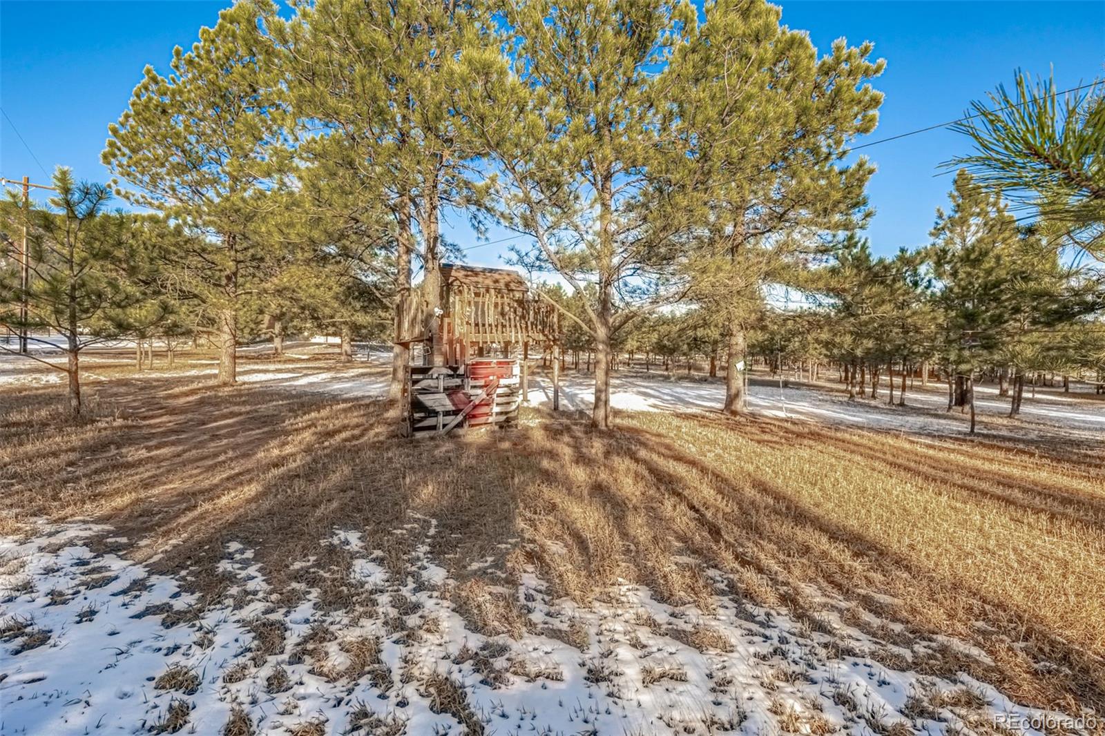 18325 Forest View Road Monument, CO 80132 - Photo 11 of 32 a view of road with trees