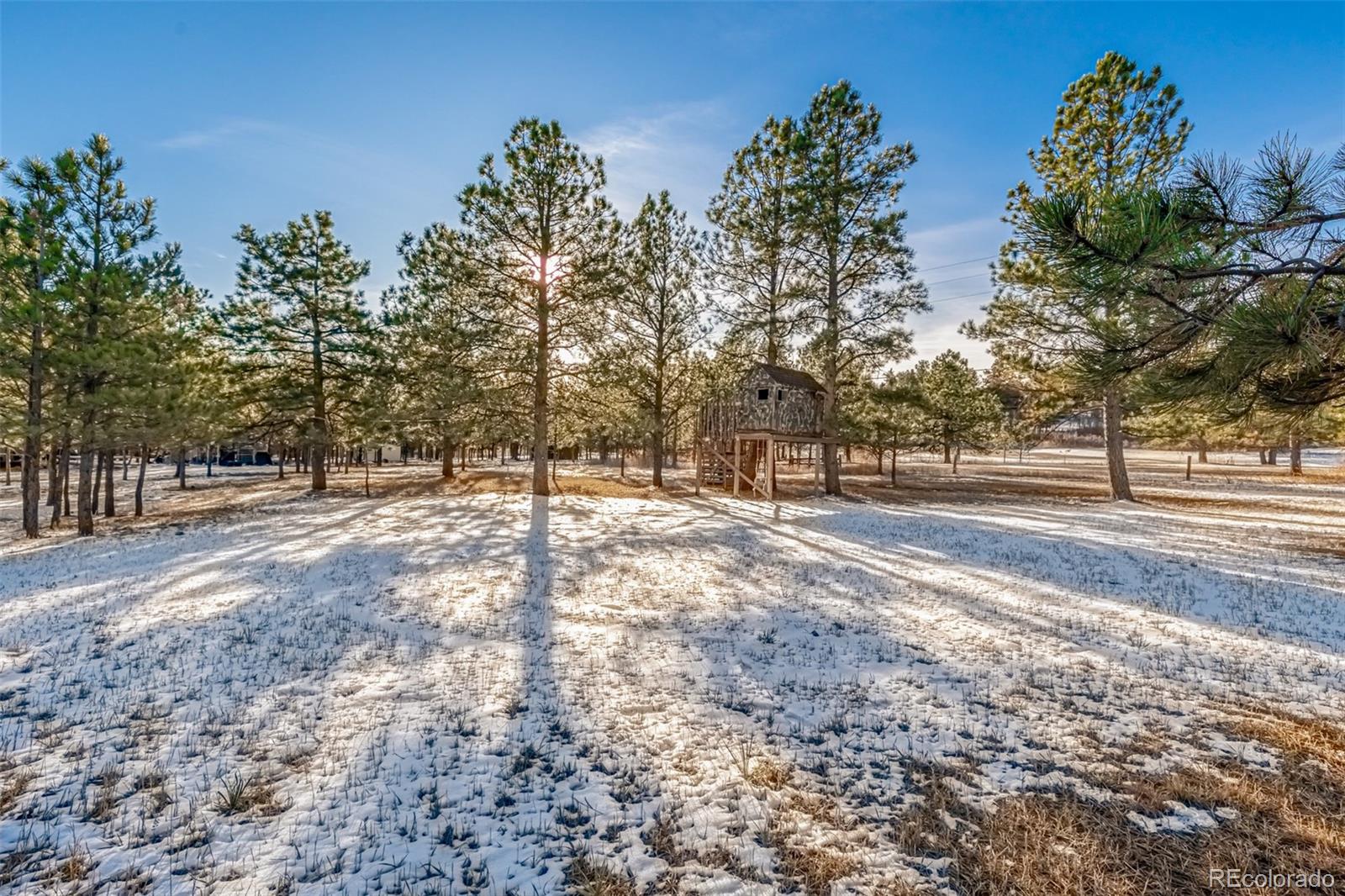 18325 Forest View Road Monument, CO 80132 - Photo 12 of 32 a view of road with trees