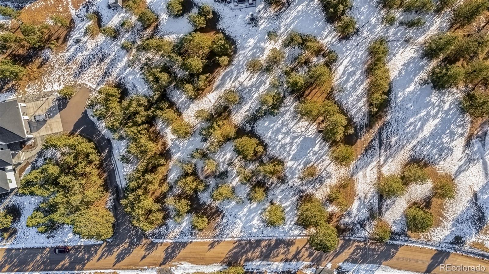 18325 Forest View Road Monument, CO 80132 - Photo 31 of 32 a backyard of a house with lots of trees