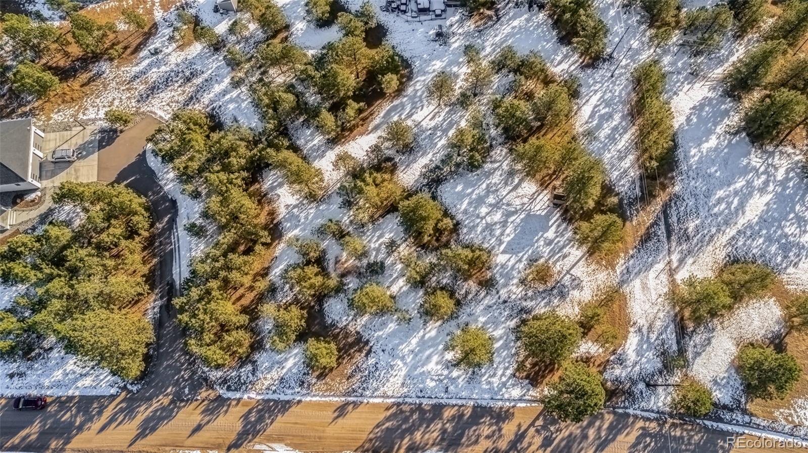 18325 Forest View Road Monument, CO 80132 - Photo 32 of 32 a view of a tree