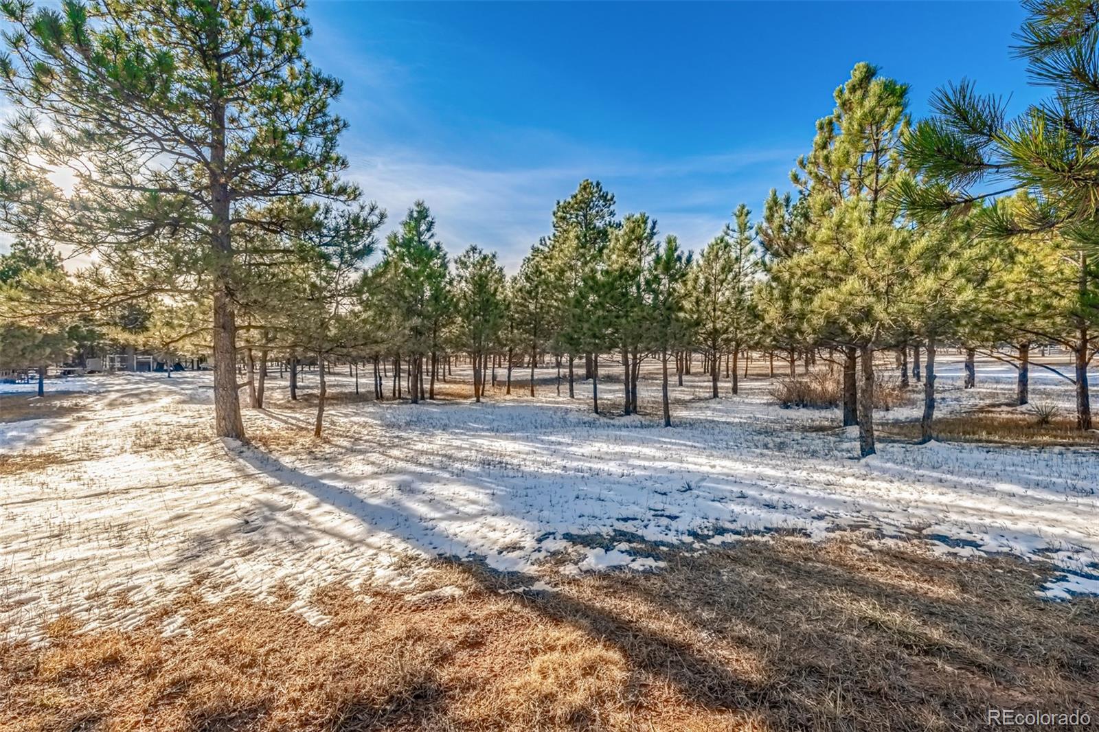 18325 Forest View Road Monument, CO 80132 - Photo 8 of 32 a view of road with trees