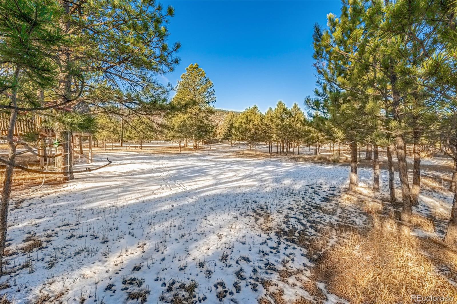 18325 Forest View Road Monument, CO 80132 - Photo 10 of 32 a view of a yard with large trees
