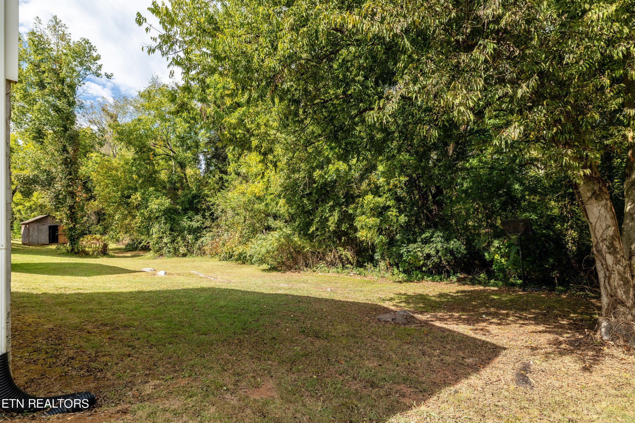 228 West Edison Street Alcoa, TN 37701 - Photo 22 of 24 a view of a field with trees in background