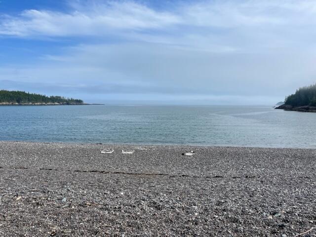 1490 Port Road Machiasport, ME 04655 - Photo 3 of 6 IMG_2843