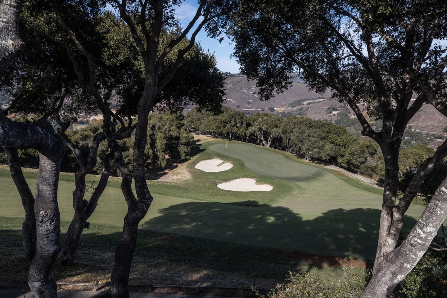 10483 Fairway Lane Carmel, CA 93923 - Photo 3 of 3 a view of a tree in a yard