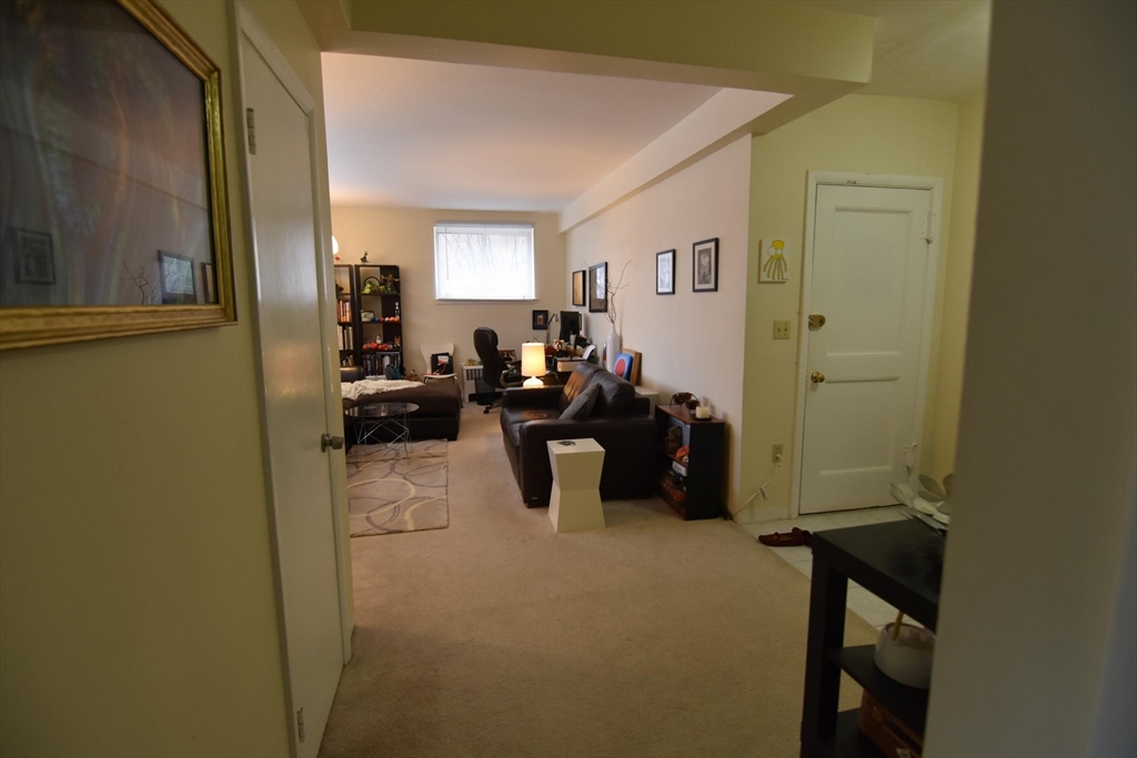 45 Green Street, Unit B2 Brookline, MA 02446 - Photo 3 of 12