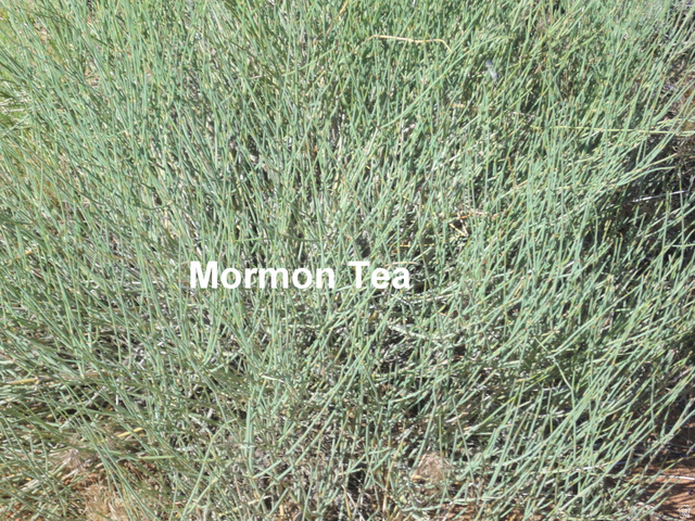 251 Thompson Cyn Road Green River, UT 84525 - Photo 23 of 32 Tea for two anyone?